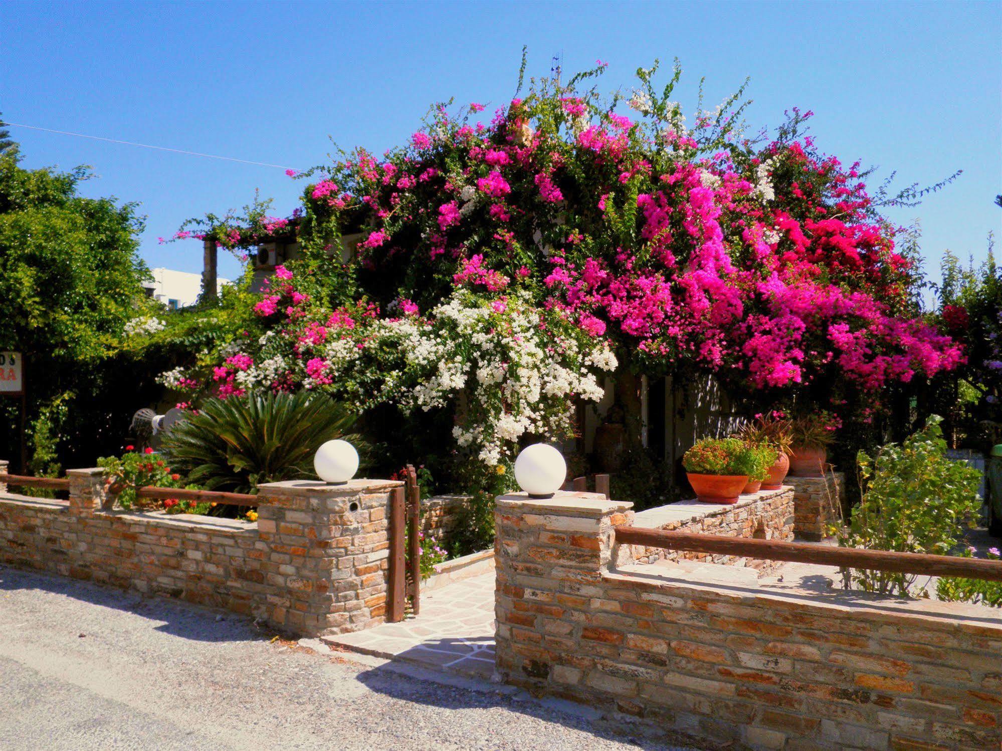 Kastrákion Dimitra Studios מראה חיצוני תמונה